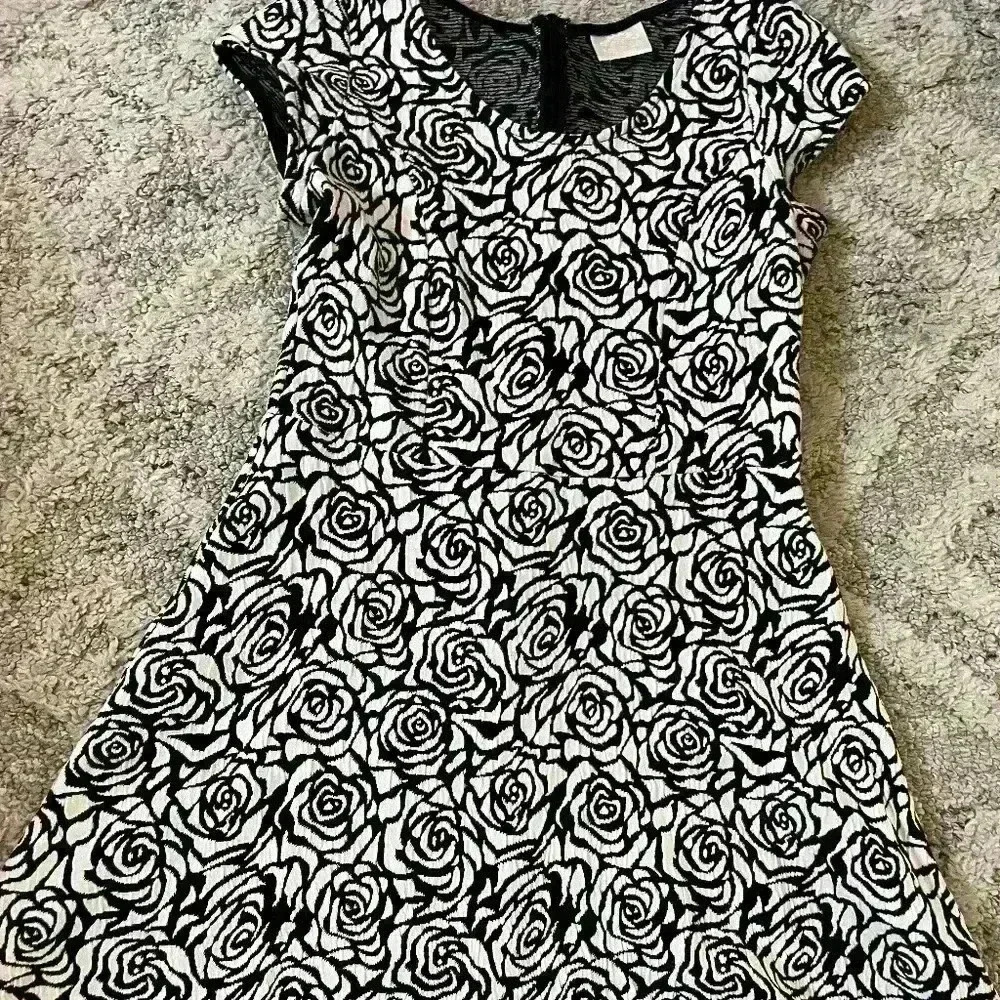 Black and White Fit and Flare Fancy Dress